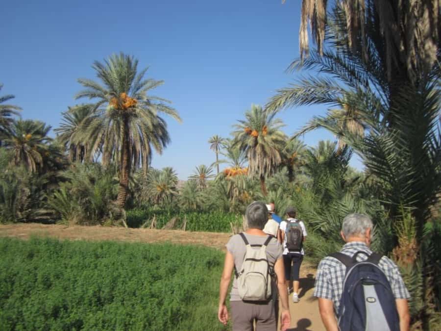 From Agadir: Taroudant & Tiout guided excursion - Is $32 a fair price?
