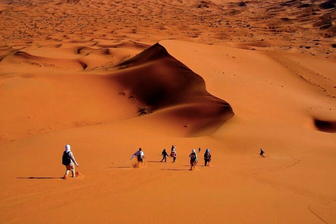 From Casablanca : 8Days 7Night Tour To North & Desert Adventure - Day four: From cedar country to a Merzouga sunset