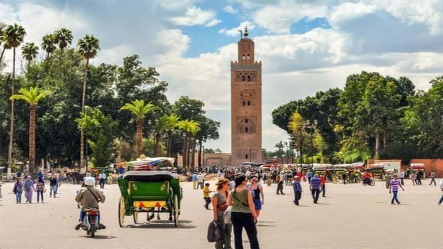 From Casablanca: Day Trip to Marrakech with Camel Ride - Souk Semmarine and the Medina on foot