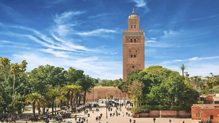 From Casablanca: Day Trip to Marrakech with Camel Ride - A short camel ride in the Palmeraie