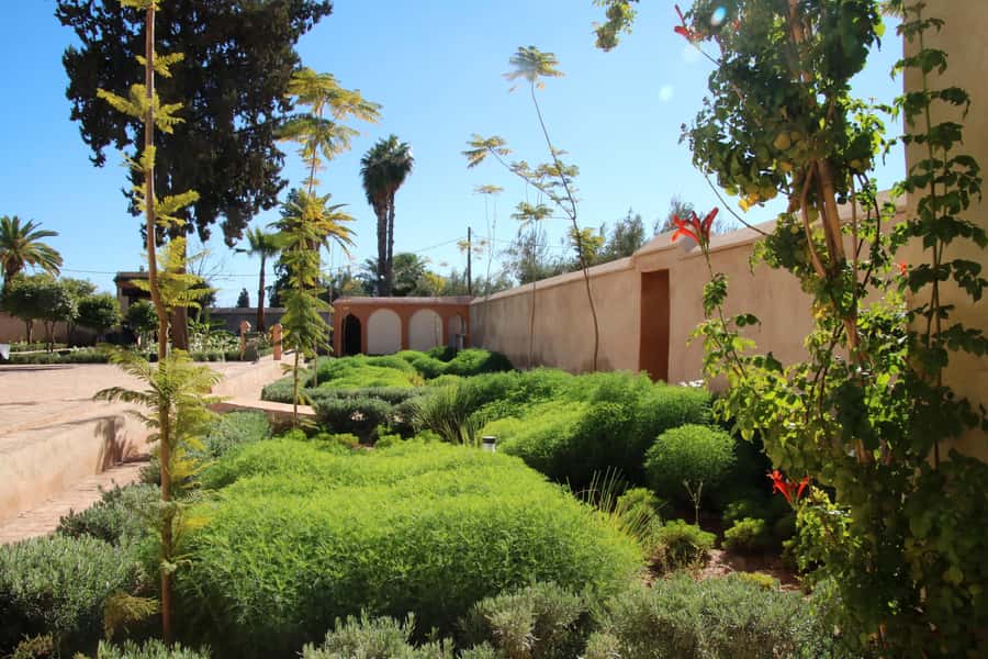 From Casablanca: Marrakech Guided Day Trip with Camel Ride - The medieval medina and its crowded souks
