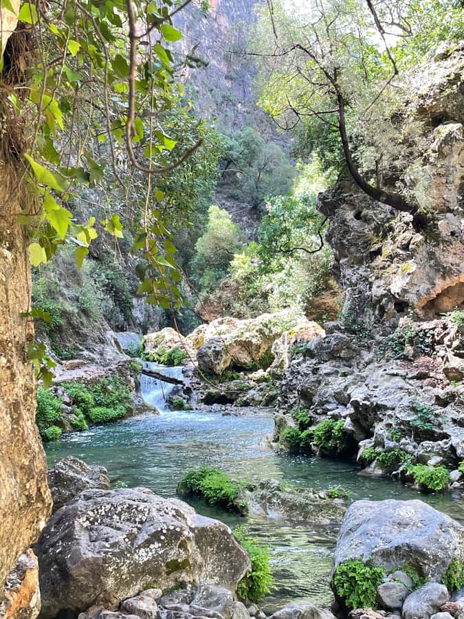 From Chefchaouen: Full-Day Trip to Akchour Waterfalls - What the $73 price really covers