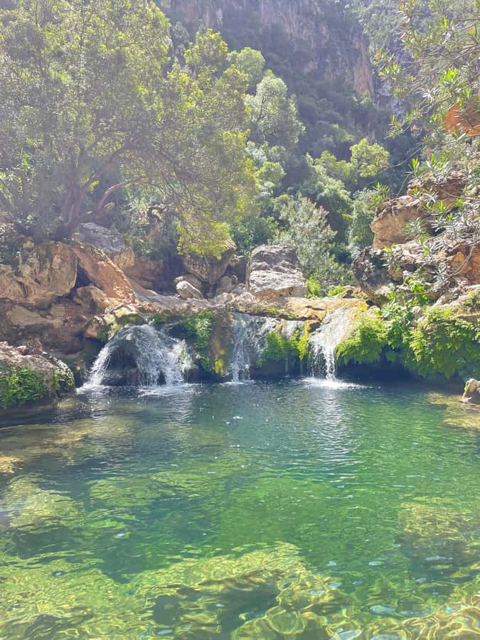 From Chefchaouen: Full-Day Trip to Akchour Waterfalls - Swimming in the clear natural pools