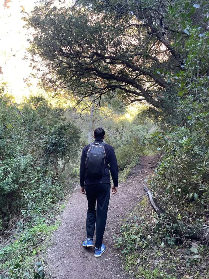 From Chefchaouen: Full-Day Trip to Akchour Waterfalls - God’s Bridge and what the route really includes