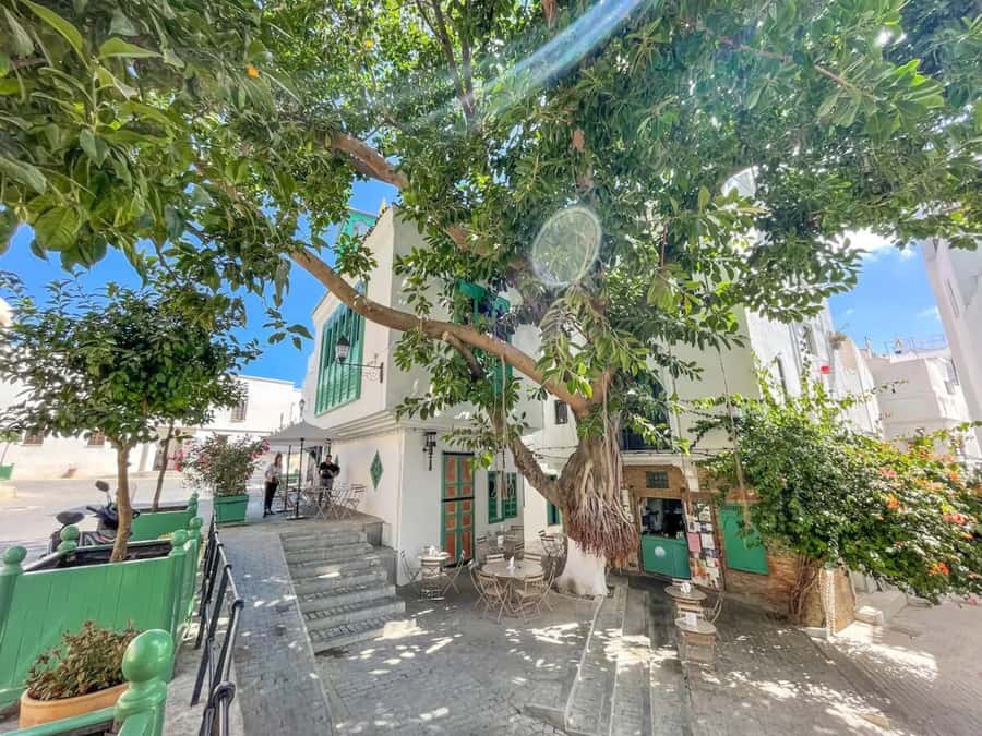 From Costa del Sol: Discover Tangier on a Guided Day Trip - Lunch at a typical Moroccan restaurant