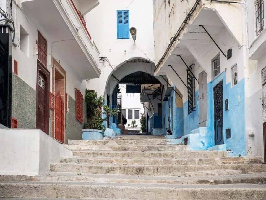 From Costa del Sol: Discover Tangier on a Guided Day Trip - Souk shopping, a Berber pharmacy, or free time
