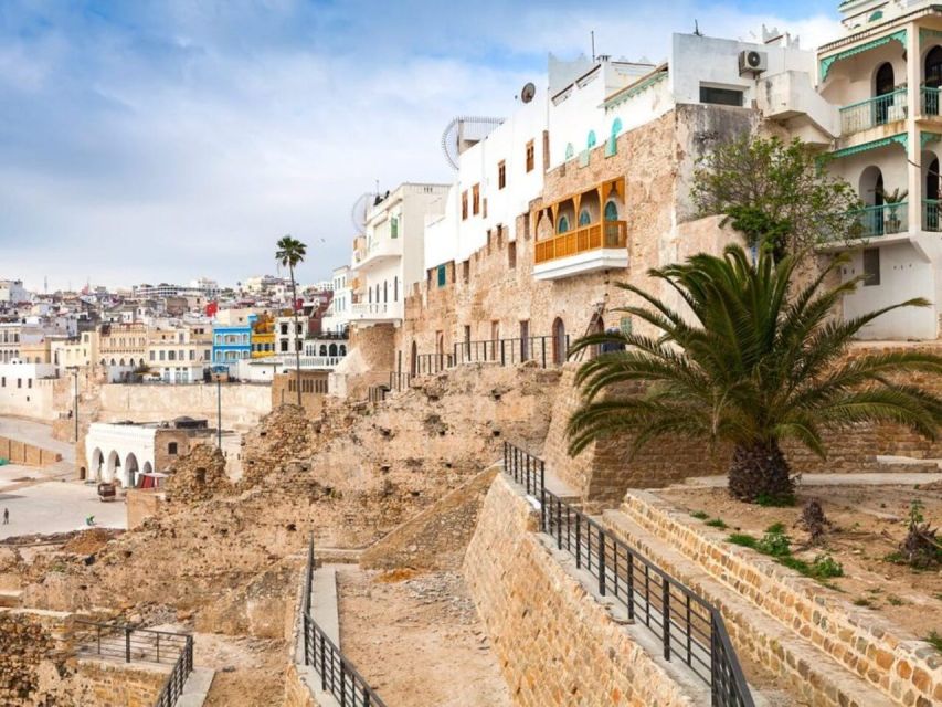 From Costa del Sol: Discover Tangier on a Guided Day Trip - How the long travel day affects the value