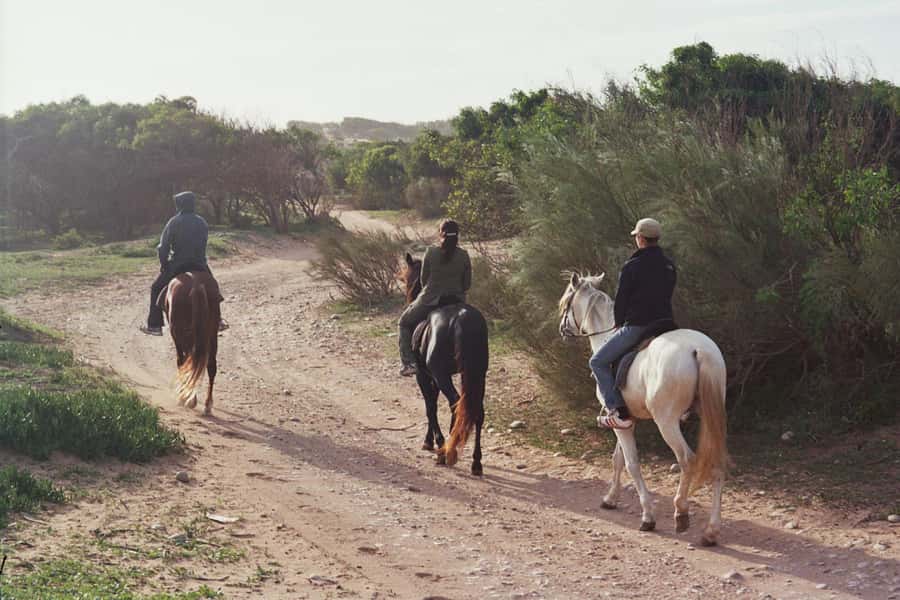 From Essaouira: 1-Hour Horse Ride - Following the river and the old palace ruins