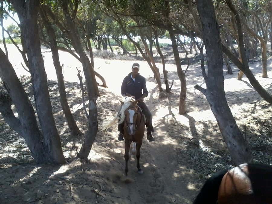 From Essaouira: 1-Hour Horse Ride - How experienced riders should set expectations