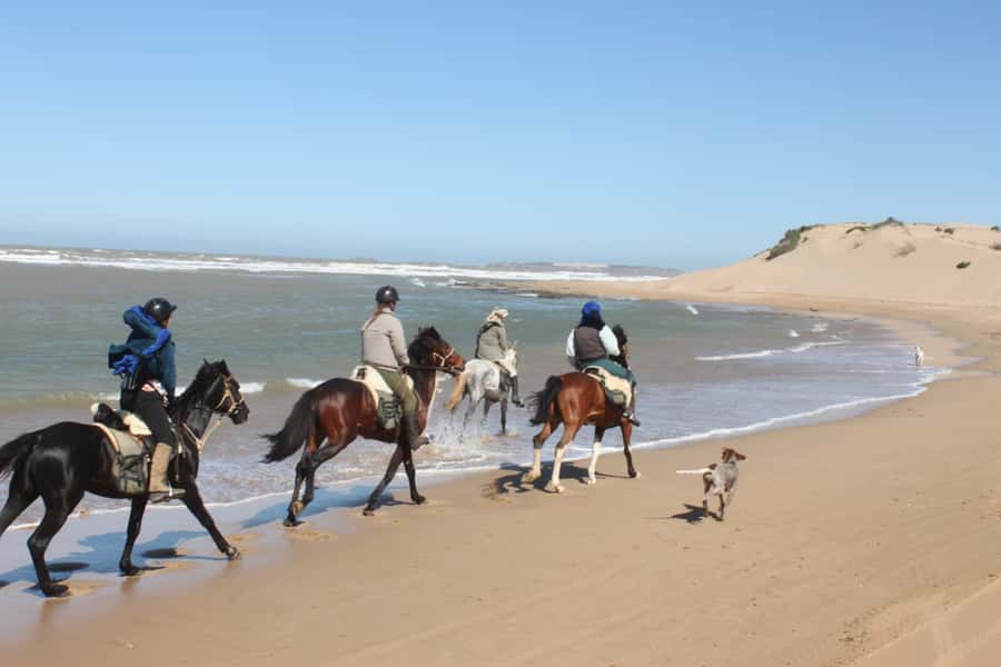 From Essaouira: 1-Hour Horse Ride with sunset - Following the river toward the palace ruins