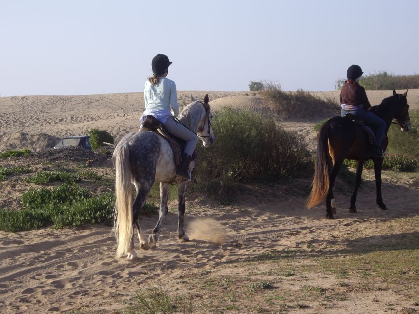 From Essaouira: 1-Hour Horse Ride with sunset - The sunset finish over the Atlantic