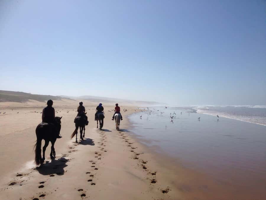 From Essaouira: 1-Hour Horse Ride with sunset - A good fit for first-time riders