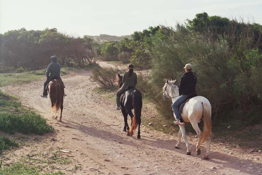 From Essaouira: 1-Hour Horse Ride - Choosing a horse and getting comfortable
