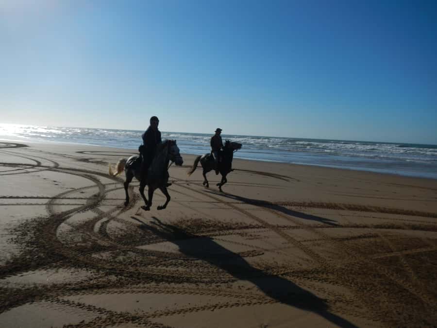 From Essaouira: 2h Horseback Ride with Sunset - Across Diabat’s long sandy beach