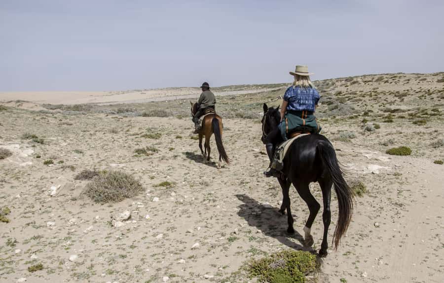 From Essaouira: 2h Horseback Ride with Sunset - Sunset over the ocean