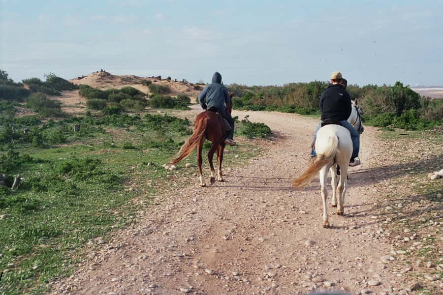 From Essaouira: 2h Horseback Ride with Sunset - Is this sunset horseback ride worth booking?