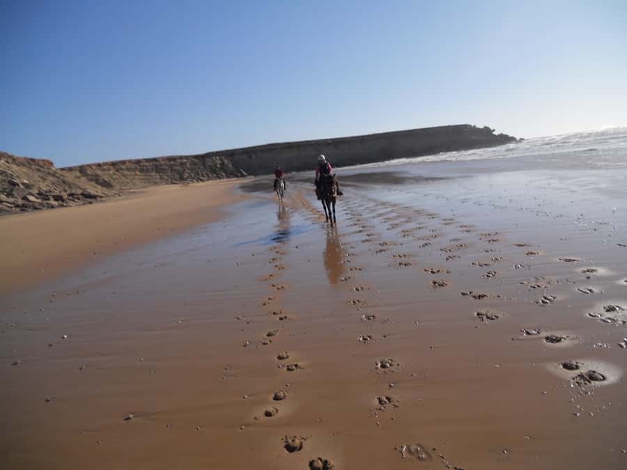 From Essaouira: 2h Horseback Ride with Sunset - Meeting your Arabian-Berber horse