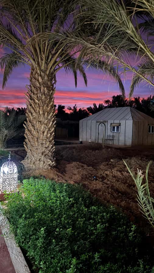 From Fes: 2-Day Desert Tour with Return to Fes or Marrakech - Leaving Fes for Ifrane at 7:45 AM