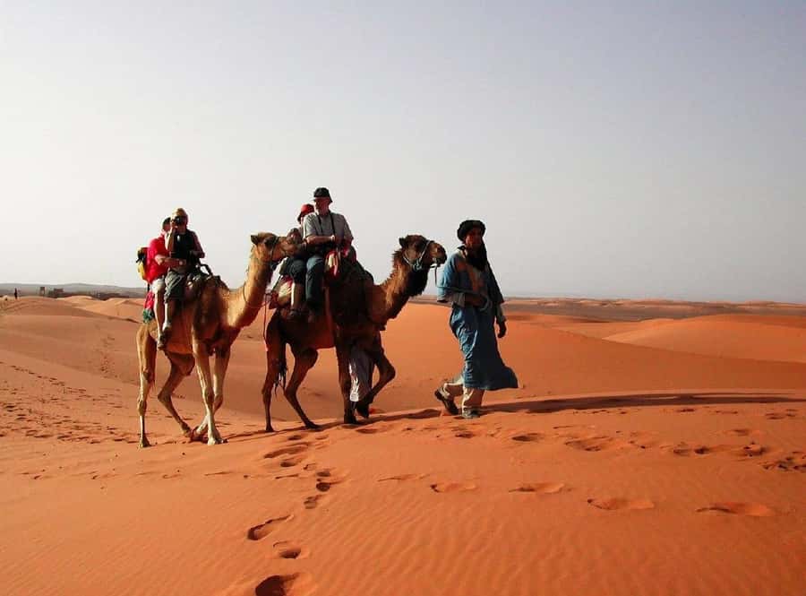 From Fes: 2-Day Luxury Desert Tour to Marrakech & Back Fez - Five details that shape the experience