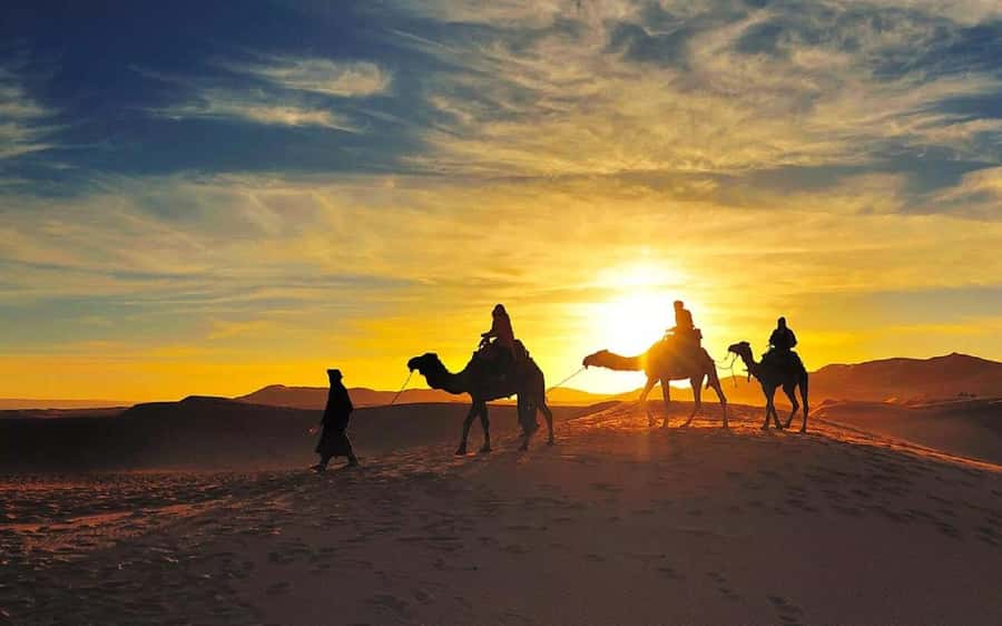 From Fes: 2-Day Luxury Desert Tour to Marrakech & Back Fez - A luxury tent with Berber music after dark