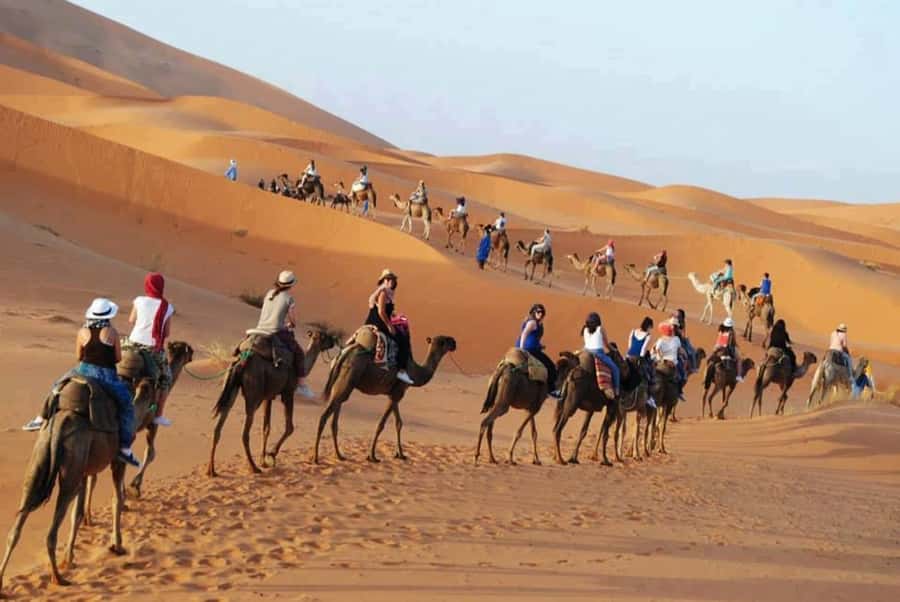 From Fes: 2-Day Luxury Desert Tour to Marrakech & Back Fez - Sunrise, breakfast, and the return to Merzouga
