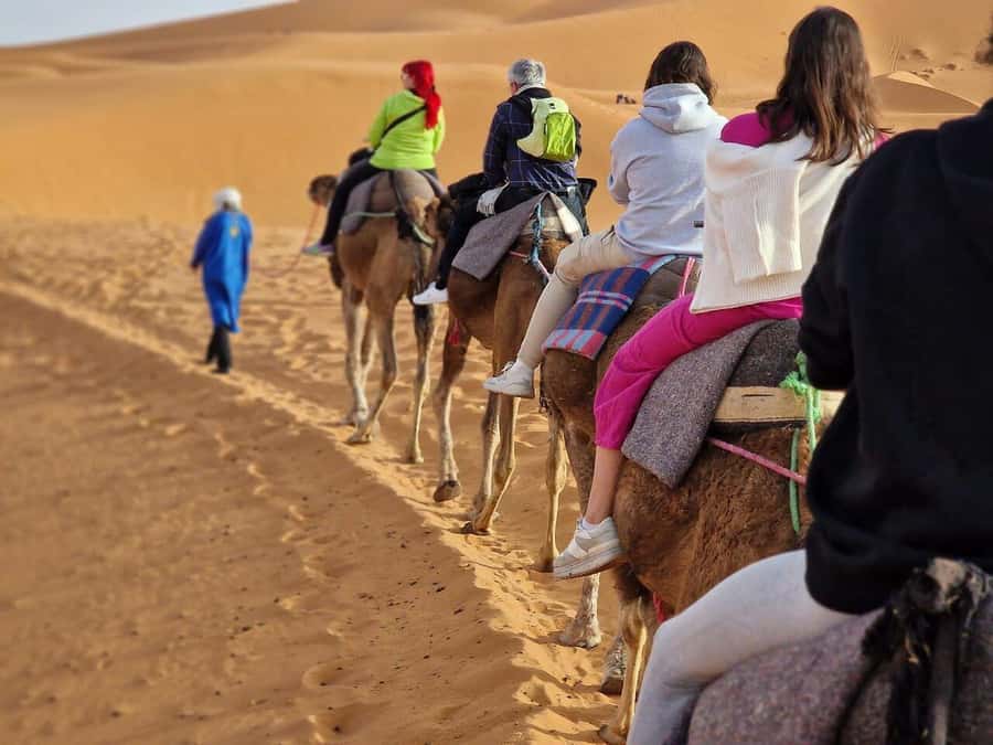 From Fes: 2-Day Luxury Desert Tour to Marrakech & Back Fez - Fes return or Marrakech transfer
