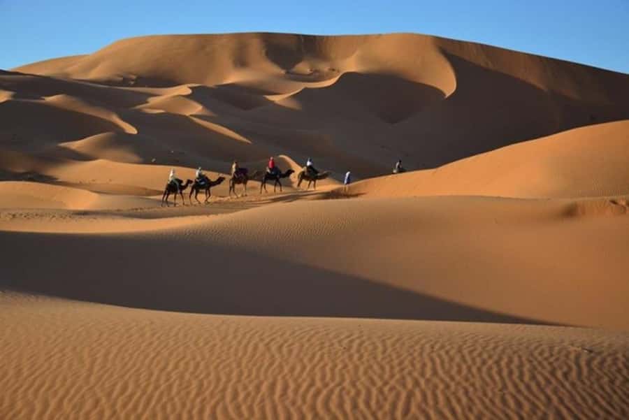 From Fes: 2-Day Luxury Desert Tour to Marrakech & Back Fez - What the $112 price really buys