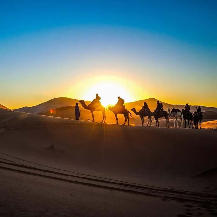 From Fes: 2-Day Luxury Desert Tour to Marrakech & Back Fez - Cedar forests, monkeys, and the road to Midelt
