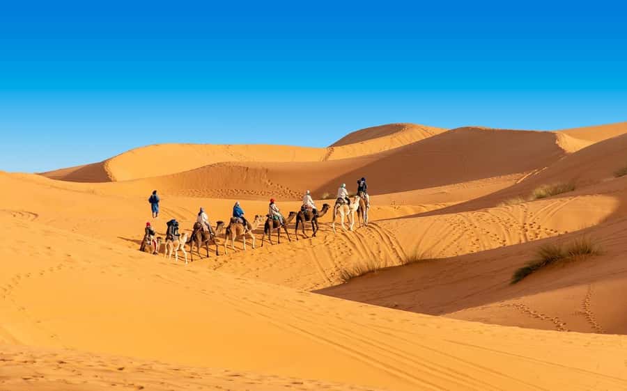 From Fes: 2-Day Merzouga Desert Trip(Luxury Tent & Dinner) - Cedar forest monkeys and a short Midelt break
