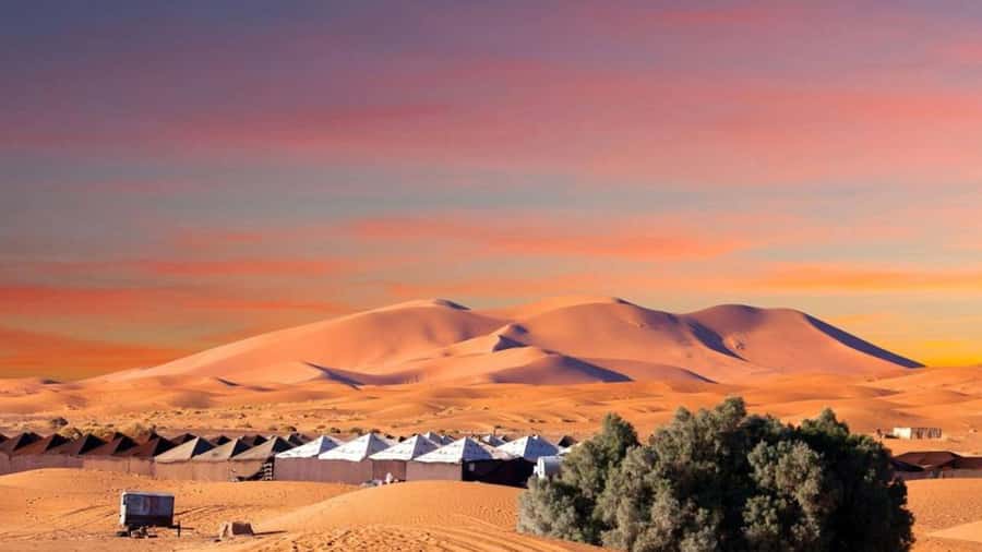 From Fes: 2-Day Merzouga Desert Trip w/Luxury Tent & Dinner - Key points before you book