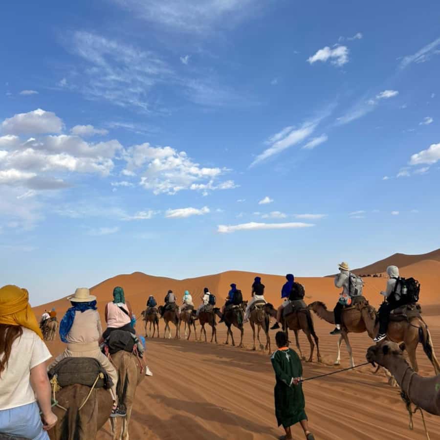 From Fes: 2 Day Round Trip Via Merzouga Desert & Camel Trek - Cedar Forests and Barbary Monkeys
