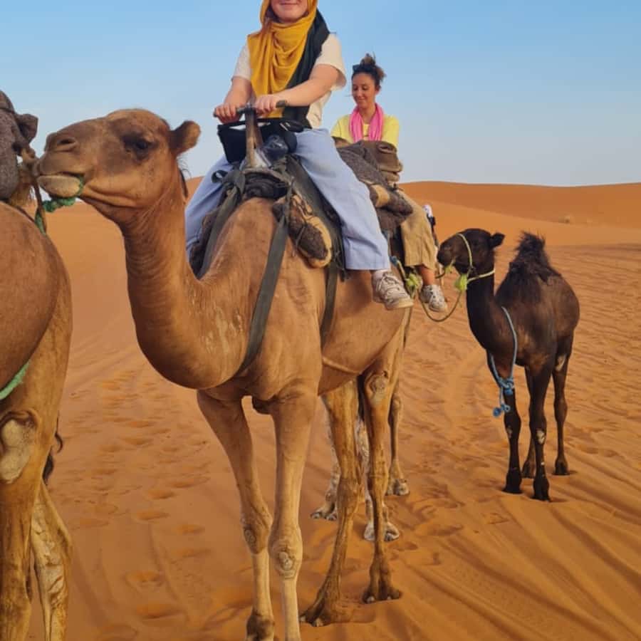 From Fes: 2 Day Round Trip Via Merzouga Desert & Camel Trek - Ifrane, Morocco’s Alpine-Style Stop