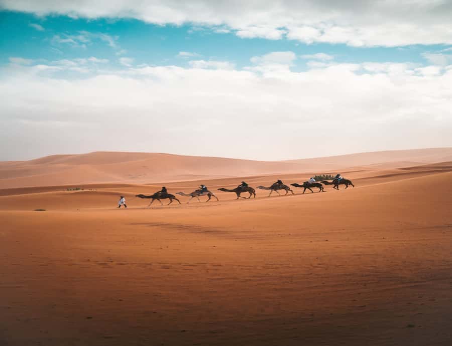 From Fes: 3-Day 2-Night Desert Tour to Marrakech - Day one: Ifrane, Azrou, and the long road to Merzouga