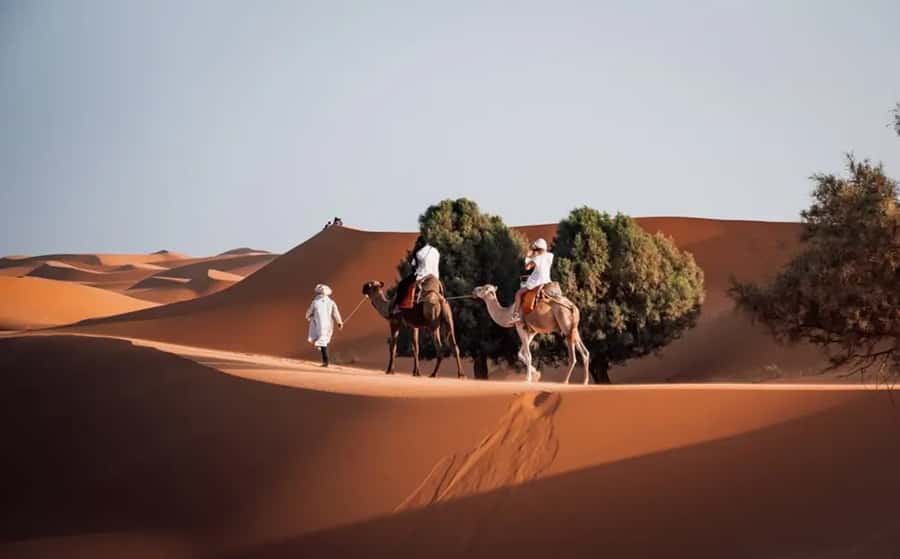 From Fes: 3-Day Luxury Desert Tour to Marrakech via Merzouga - Key points to know before booking
