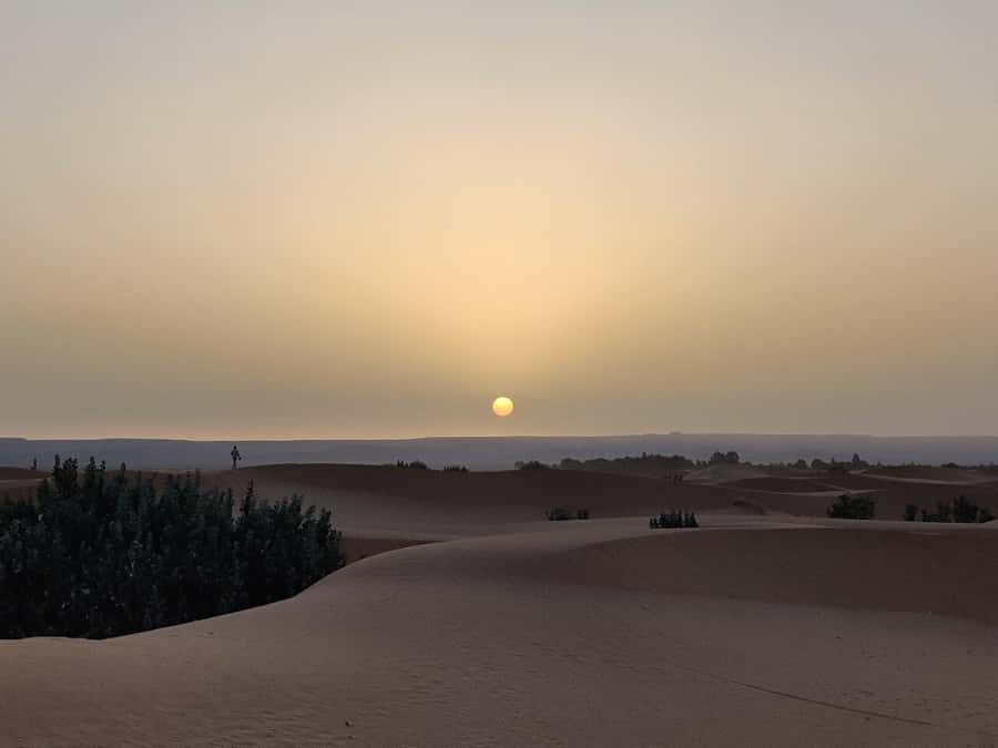 From Fes: 3-Day Luxury Desert Tour to Marrakech via Merzouga - Day 3: Ouarzazate and the walls of Ait Ben Haddou