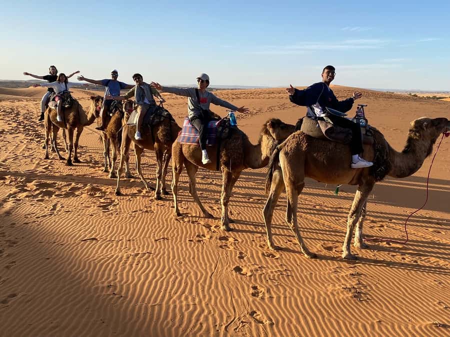 From Fes: 3-Day Luxury Desert Tour to Marrakech via Merzouga - Food, vehicles, and the small practical details