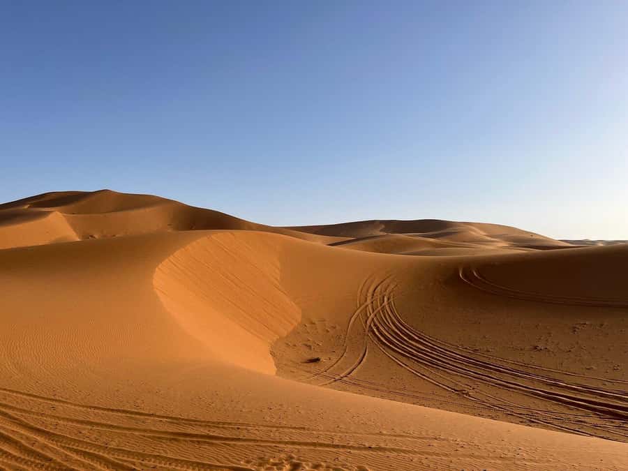 From Fes: 3-Day Luxury Desert Tour to Marrakech via Merzouga - Who will get the most from these three days?