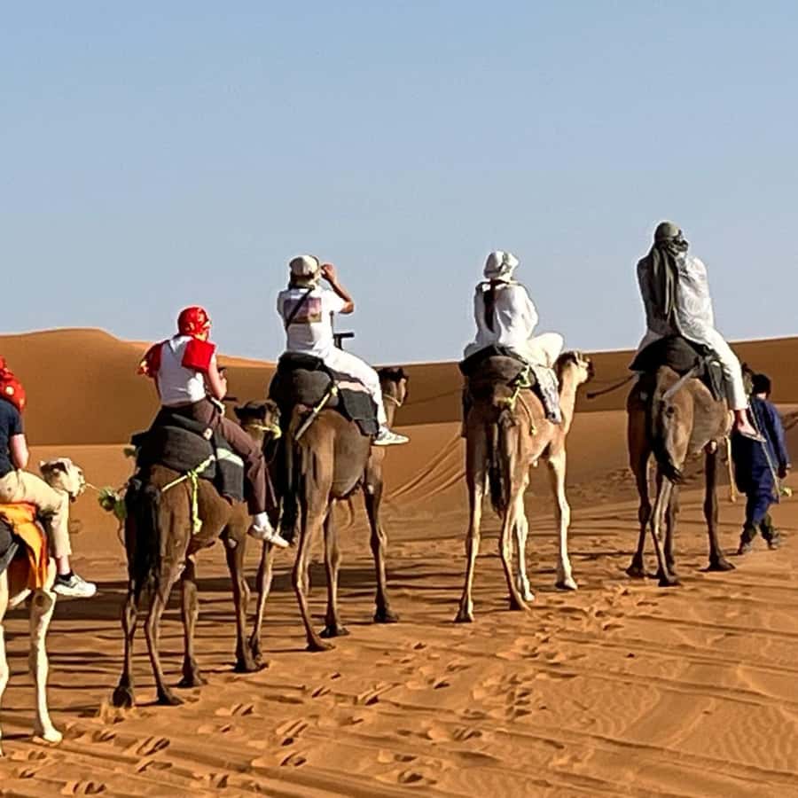 From Fes: 3 Day Magical Desert Camel Trek To Marrakech - Transport, Timing, And The Real Cost Of Convenience