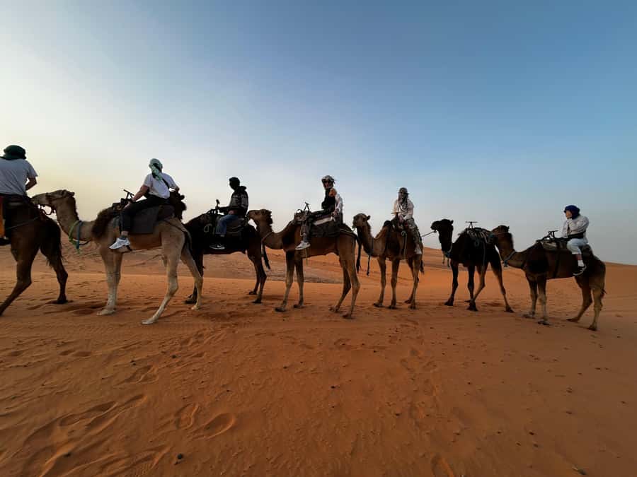 From Fes: 3 Days and 2 Nights Desert Trip to Marrakech - Day one: cedar forests, macaques, and the long road south