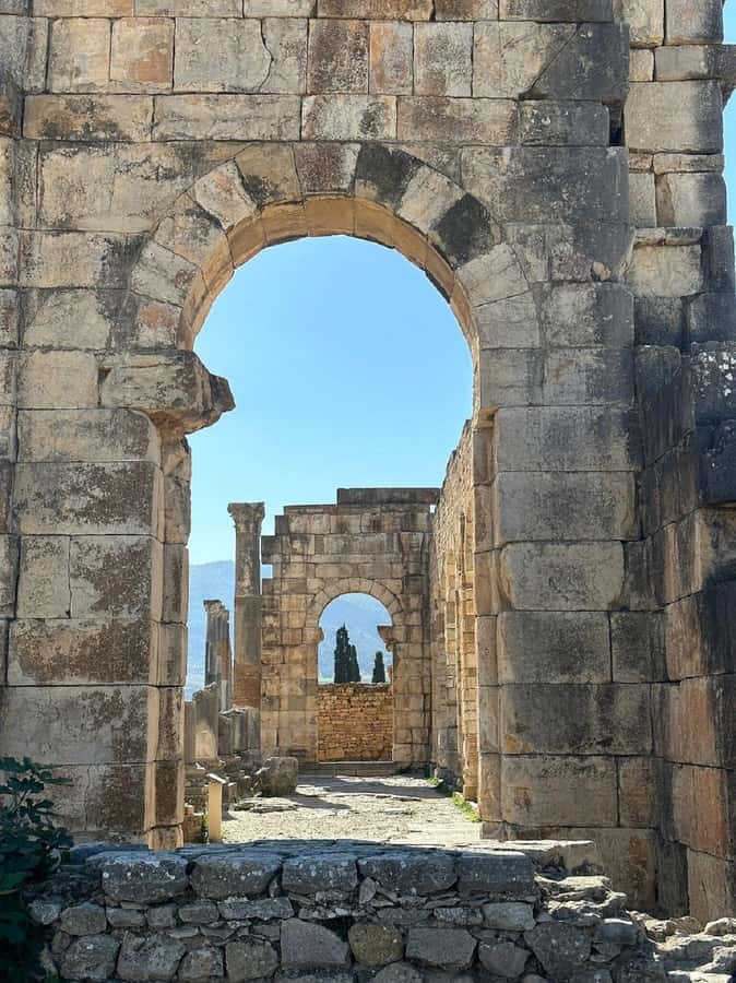 From Fes Day Trip to Meknes,Volubilis,Moulay Idriss Zerhoun - Key points to know before booking