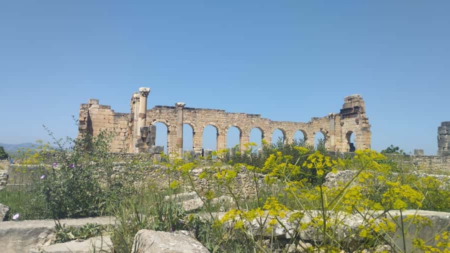 From Fes: Meknes Volubilis and Moulay Idriss Day Trip - Entering Meknes through Bab Mansour
