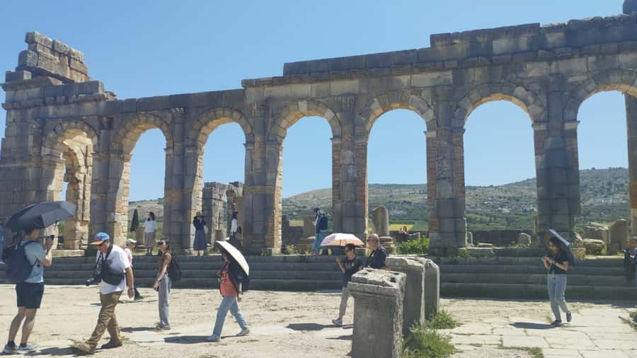 From Fes: Meknes Volubilis and Moulay Idriss Day Trip - Guides, languages, and group choices