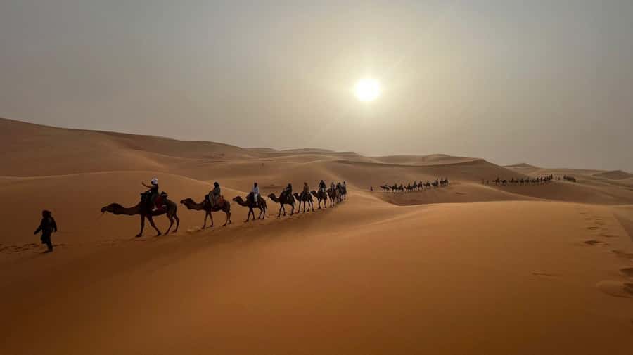 From Fes to Marrakech: 3-Day Sahara Desert Discovery Tour - Who should book this three-day crossing?