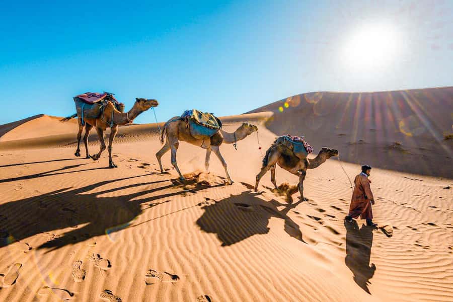 From Fes to Marrakech: 3-Day Sahara Desert Discovery Tour - Day 2: Sunrise, Todra Gorge, and the Road of a Thousand Kasbahs
