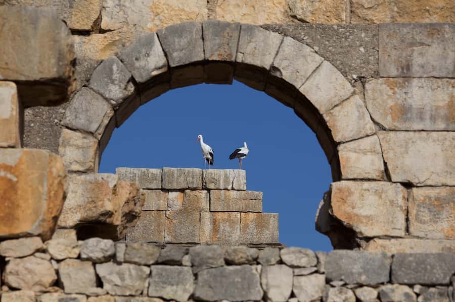 From Fes: Volubilis, Moulay Idriss and Meknes Full-Day Trip - Why This Three-Stop Route Works