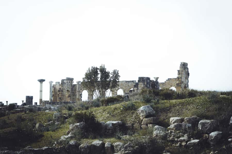 From Fes: Volubilis, Moulay Idriss and Meknes Full-Day Trip - Volubilis: The Strongest Stop of the Day