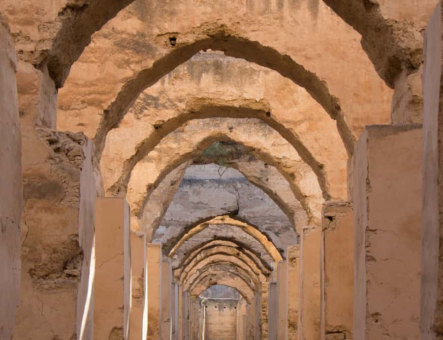 From Fes: Volubilis, Moulay Idriss and Meknes Full-Day Trip - Meknes: Imperial Scale, With Renovation Caveats