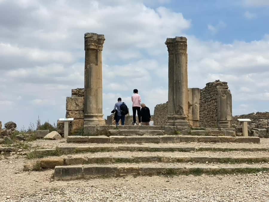 From Fes: Volubilis, Moulay Idriss, & Meknes Full-Day Trip - Key points to know before booking