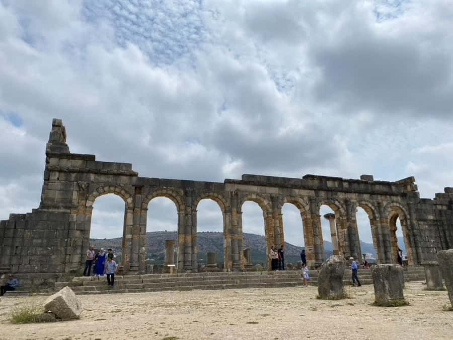 From Fes: Volubilis, Moulay Idriss, & Meknes Full-Day Trip - Why this Fez day trip works