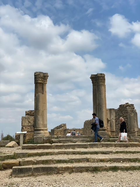 From Fes: Volubilis, Moulay Idriss, & Meknes Full-Day Trip - Who should book this outing?